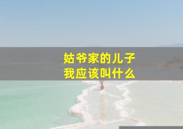 姑爷家的儿子我应该叫什么