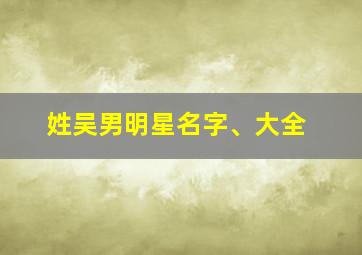 姓吴男明星名字、大全