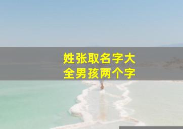 姓张取名字大全男孩两个字