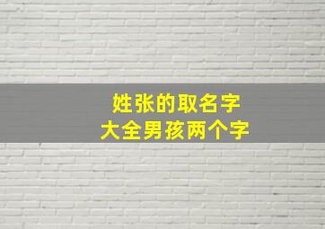 姓张的取名字大全男孩两个字