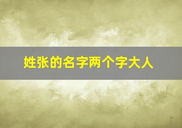 姓张的名字两个字大人