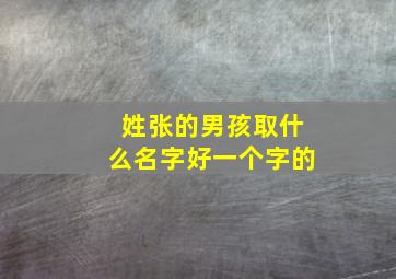 姓张的男孩取什么名字好一个字的