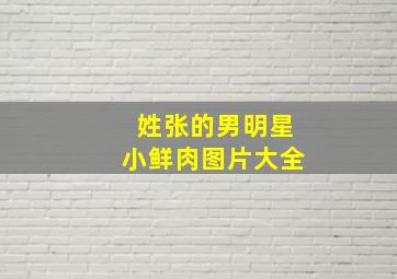 姓张的男明星小鲜肉图片大全