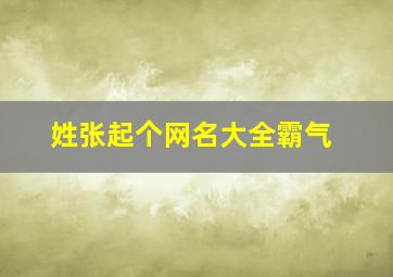 姓张起个网名大全霸气