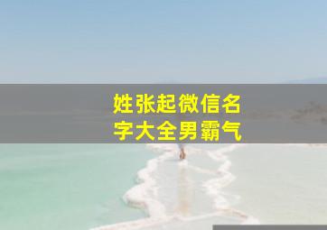 姓张起微信名字大全男霸气