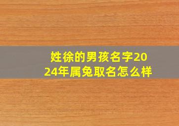 姓徐的男孩名字2024年属兔取名怎么样