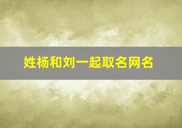 姓杨和刘一起取名网名