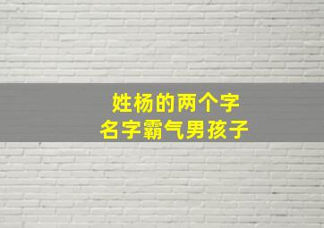 姓杨的两个字名字霸气男孩子