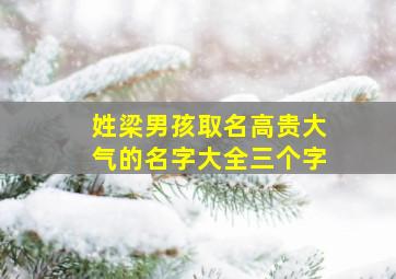 姓梁男孩取名高贵大气的名字大全三个字