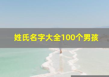 姓氏名字大全100个男孩