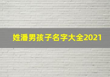 姓潘男孩子名字大全2021