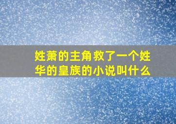 姓萧的主角救了一个姓华的皇族的小说叫什么