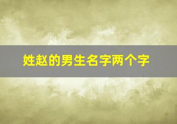 姓赵的男生名字两个字