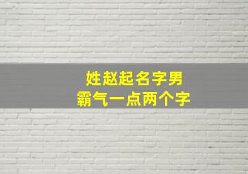 姓赵起名字男霸气一点两个字