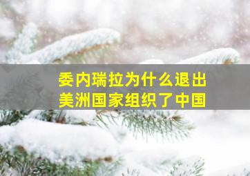 委内瑞拉为什么退出美洲国家组织了中国