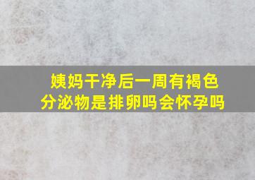 姨妈干净后一周有褐色分泌物是排卵吗会怀孕吗