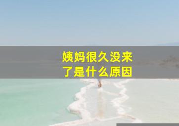 姨妈很久没来了是什么原因