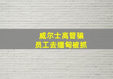 威尔士高管骗员工去缅甸被抓