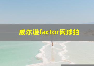 威尔逊factor网球拍