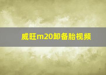 威旺m20卸备胎视频