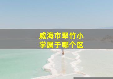 威海市翠竹小学属于哪个区