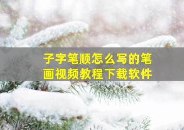 子字笔顺怎么写的笔画视频教程下载软件