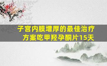 子宫内膜增厚的最佳治疗方案吃甲羟孕酮片15天