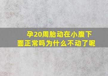 孕20周胎动在小腹下面正常吗为什么不动了呢