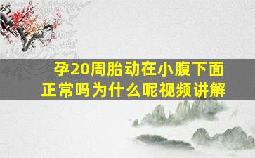 孕20周胎动在小腹下面正常吗为什么呢视频讲解