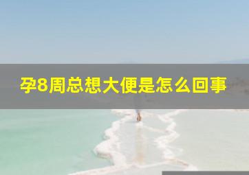 孕8周总想大便是怎么回事