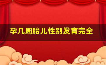 孕几周胎儿性别发育完全