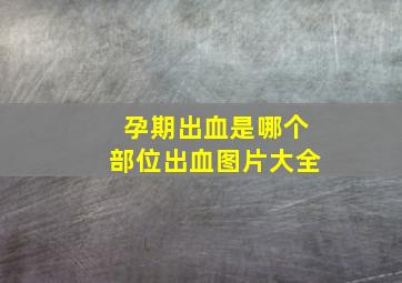 孕期出血是哪个部位出血图片大全