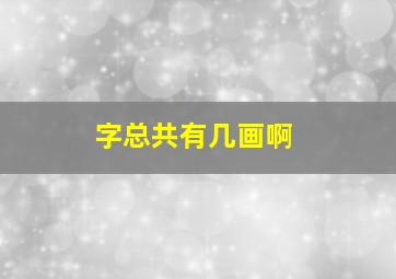 字总共有几画啊