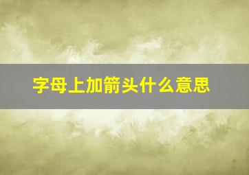 字母上加箭头什么意思