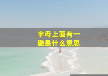 字母上面有一撇是什么意思