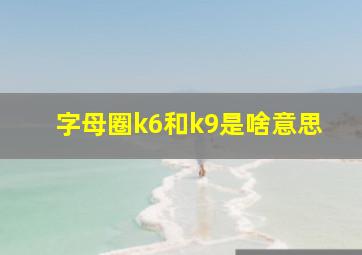 字母圈k6和k9是啥意思