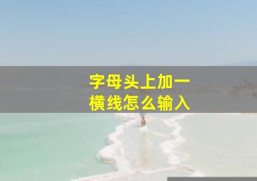 字母头上加一横线怎么输入