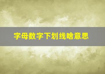 字母数字下划线啥意思