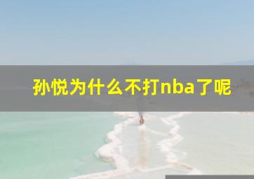 孙悦为什么不打nba了呢