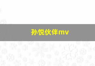 孙悦伙伴mv