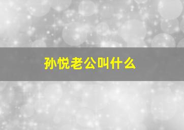 孙悦老公叫什么