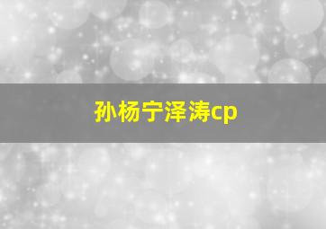 孙杨宁泽涛cp