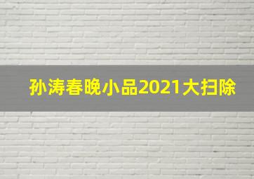 孙涛春晚小品2021大扫除