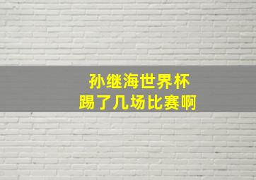 孙继海世界杯踢了几场比赛啊