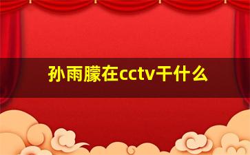 孙雨朦在cctv干什么