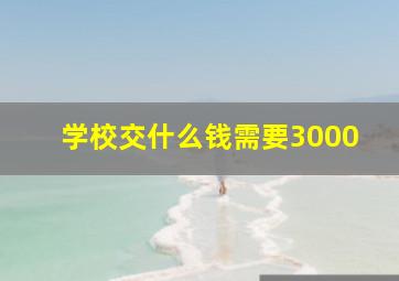 学校交什么钱需要3000