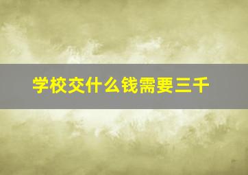 学校交什么钱需要三千