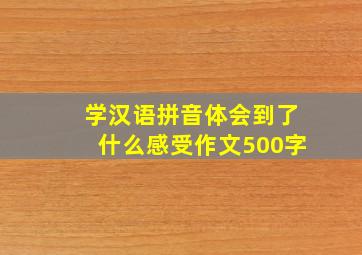 学汉语拼音体会到了什么感受作文500字