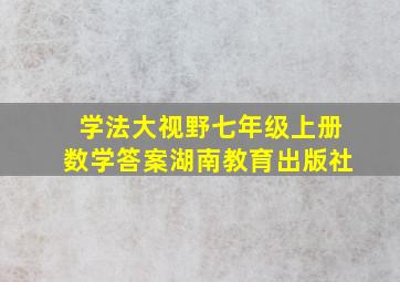 学法大视野七年级上册数学答案湖南教育出版社