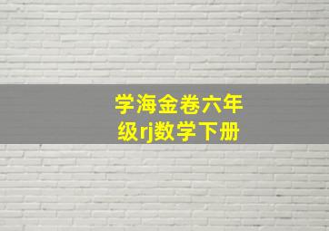 学海金卷六年级rj数学下册